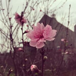 Meet your Posher, Chloe